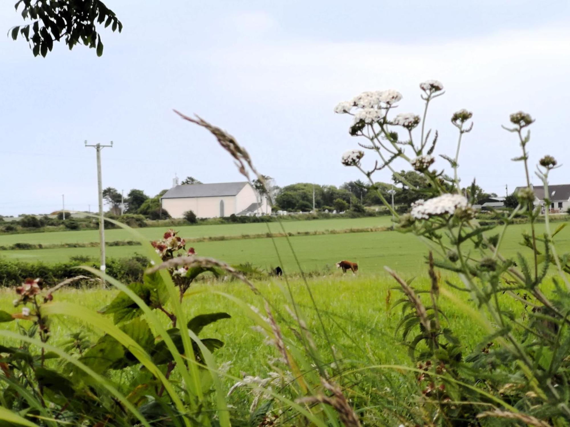 Roaringwater Stay Skibbereen Εξωτερικό φωτογραφία